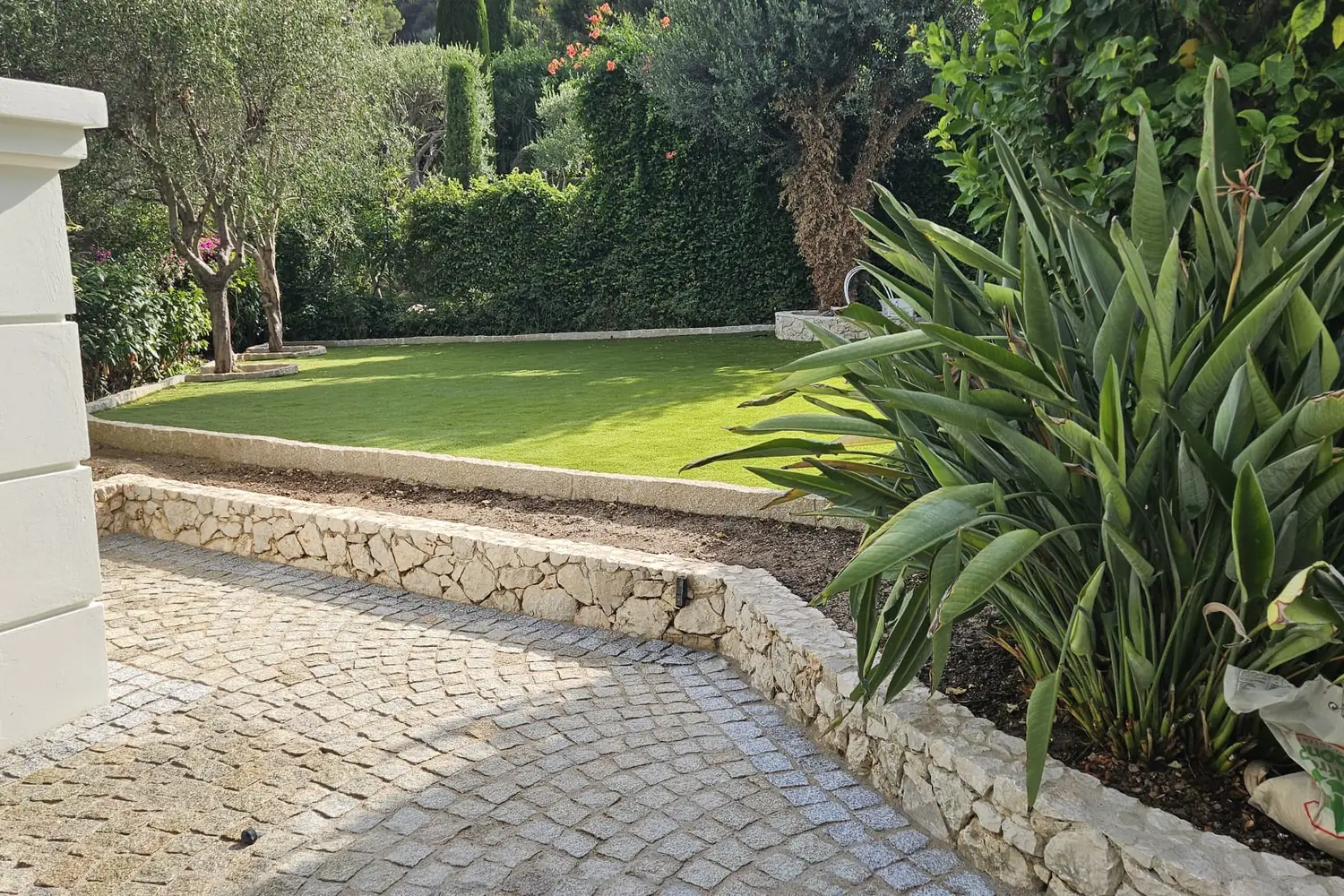 Muret en pierre du pays et pavage en granit bordant une pelouse plantée de palmiers, réalisation SP BAT